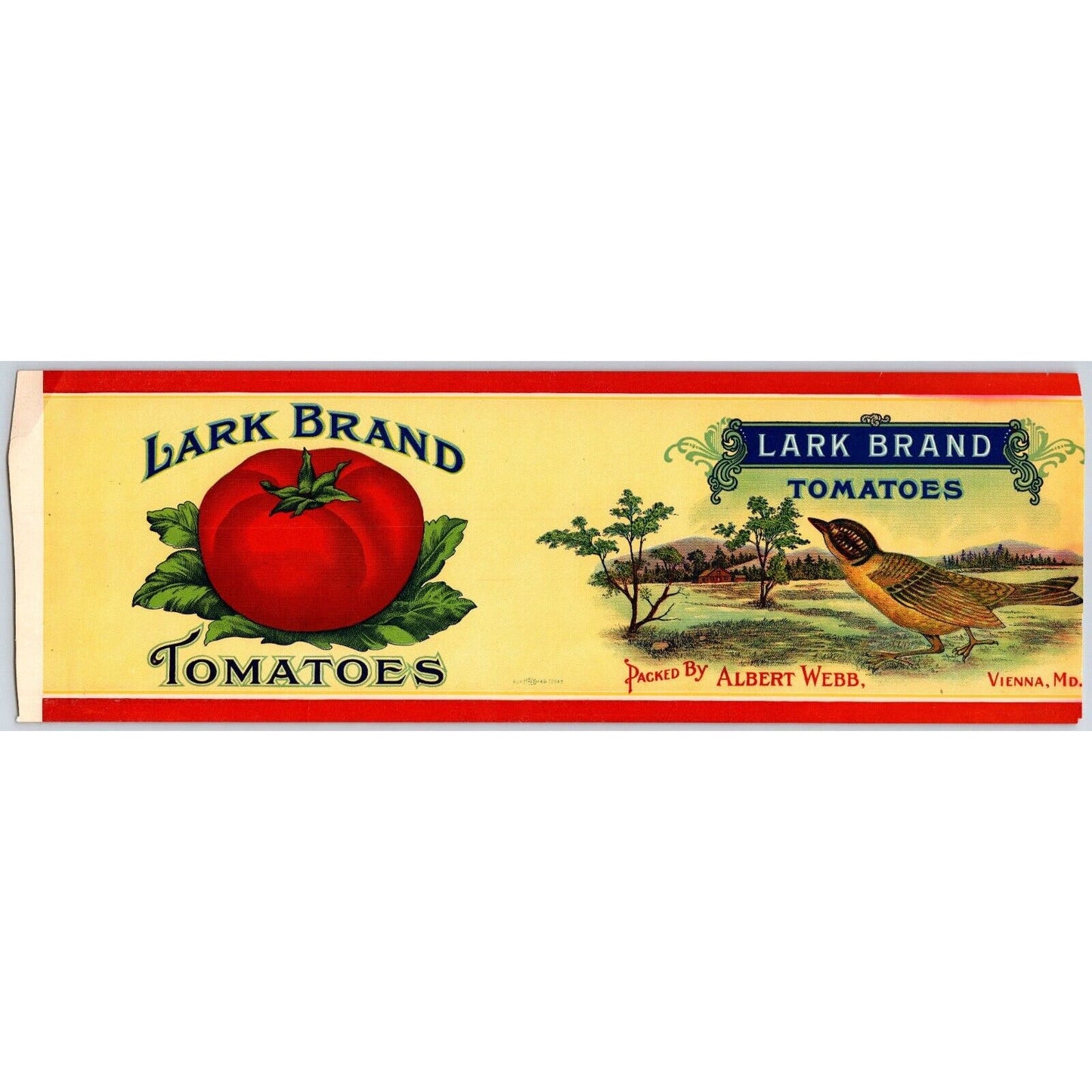 Forest City Tomatoes Paper Can Label Allen Bros. Omaha c1910's-20's VGC Scarce