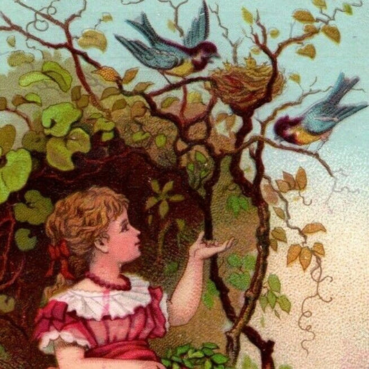 Allen's Root Beer Extract Lowell, MASS Outdoor Girls Birds Victorian Trade Card