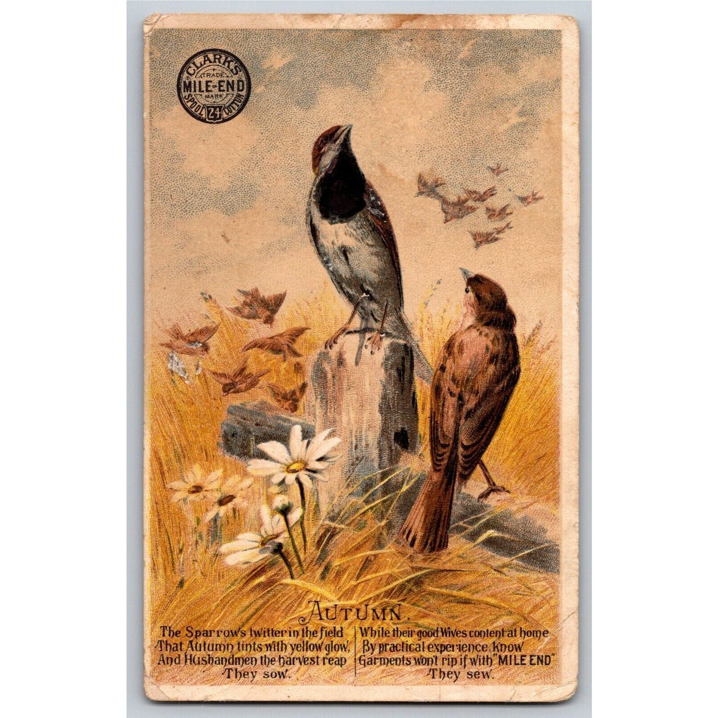 Autumn Birds Sparrow w/ Poem Victorian Trade Card Clark's Spool Thread