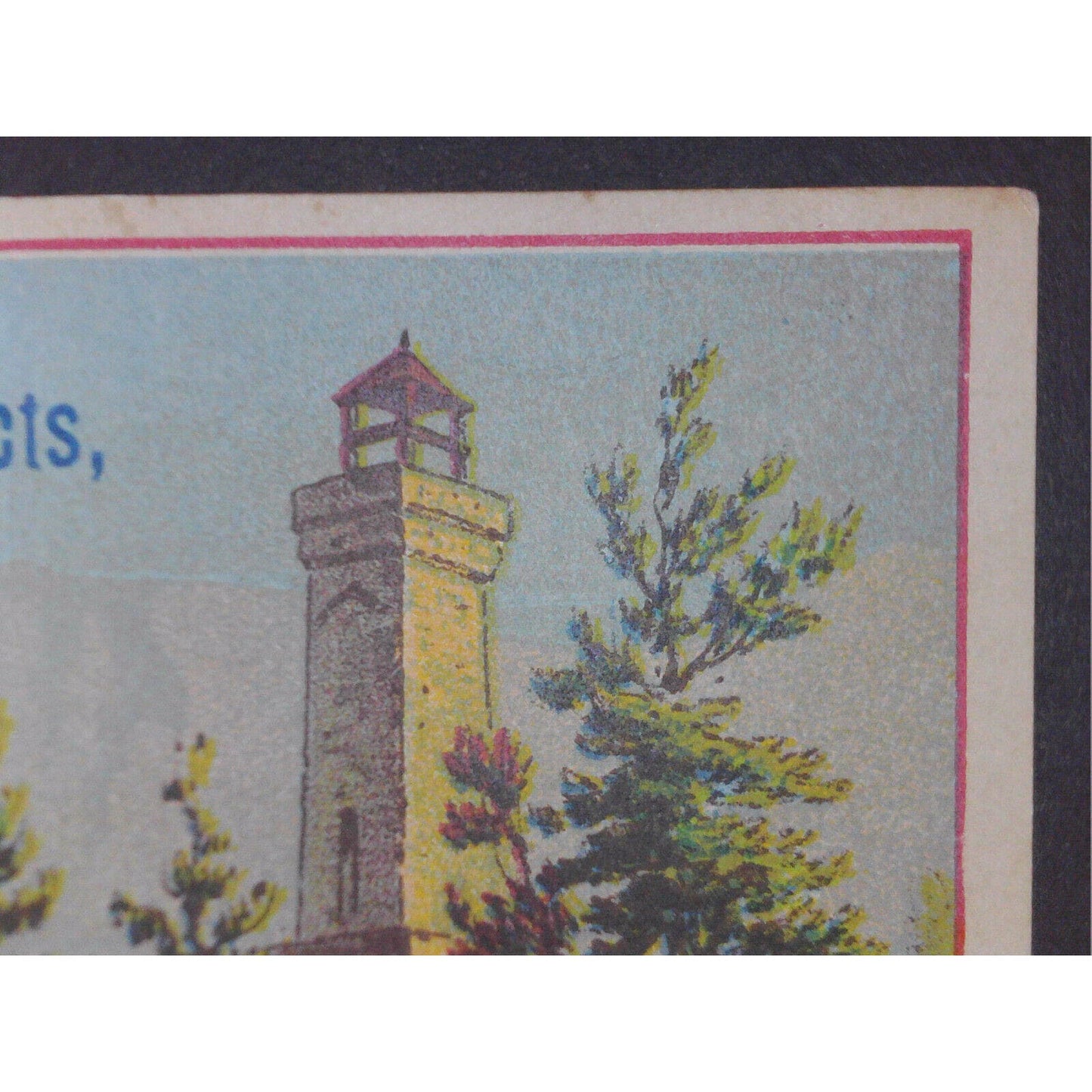 Victorian Advertising Trade Card - Scott Brothers Pure Flavoring Extracts