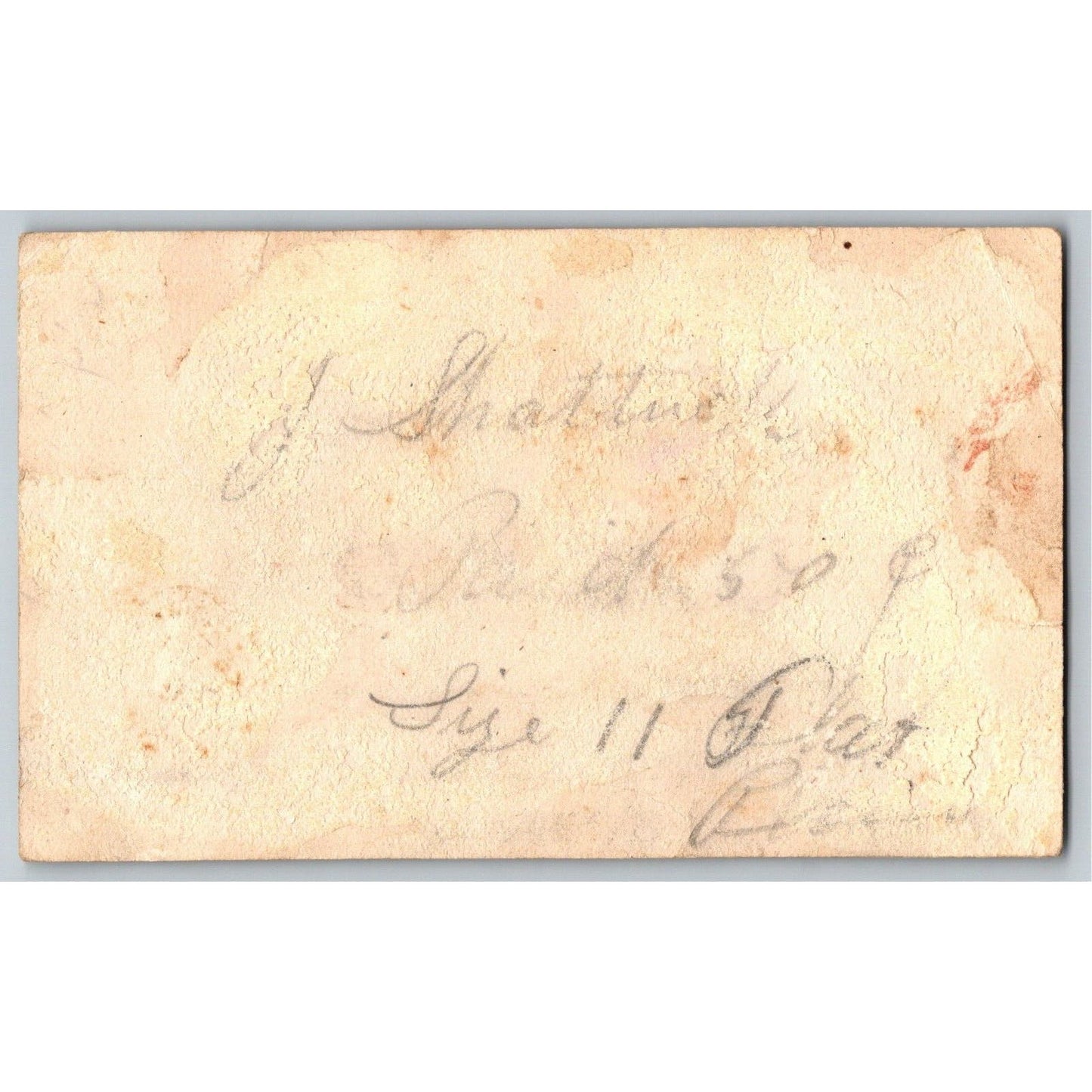 A. Miller Jewelry Musical Instruments Boston Victorian Trade Card w/ Bird