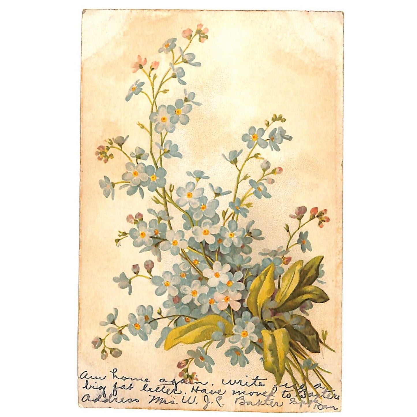 Floral Postcard PM c1915-20