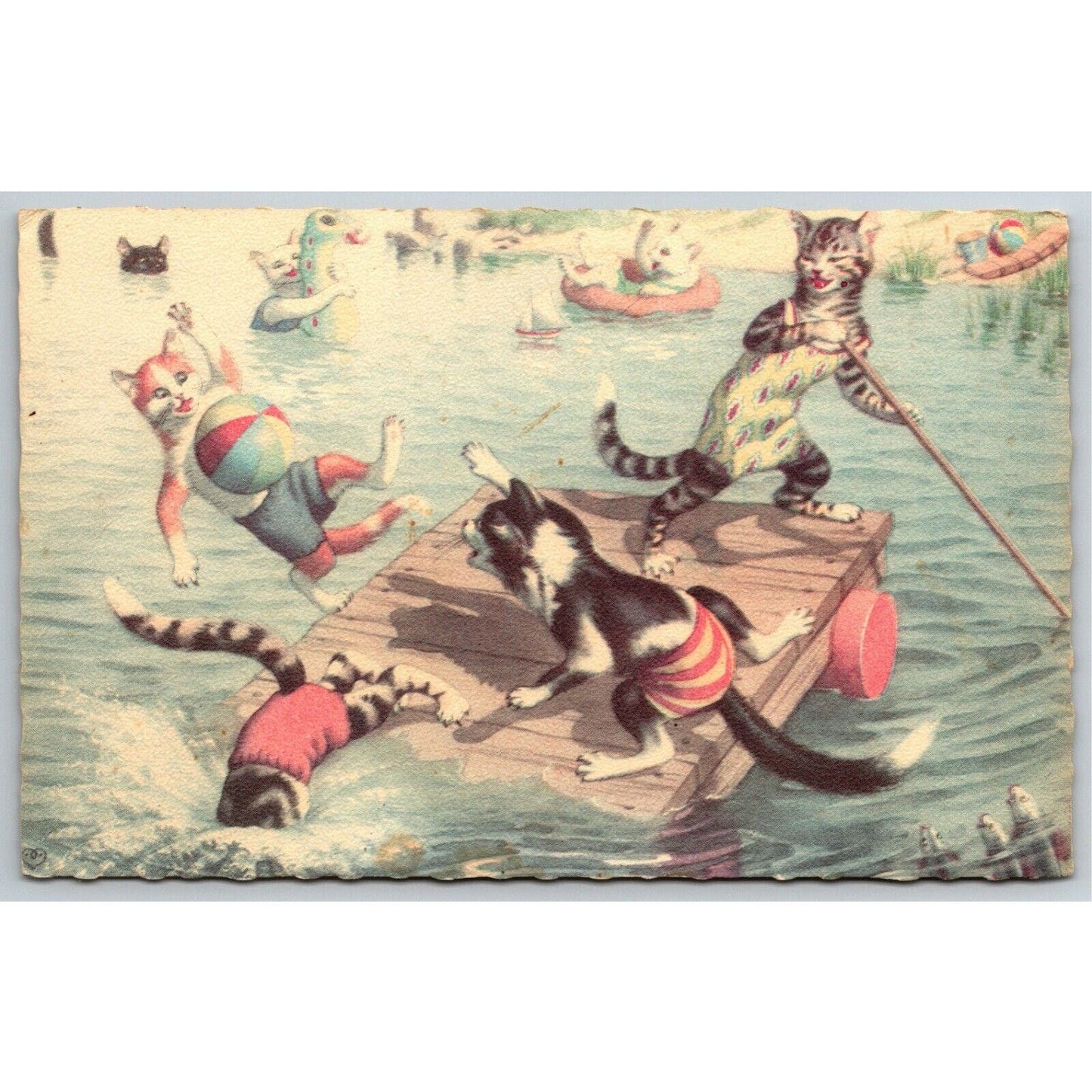 Vintage Postcard Cats Playing in Lake / Ocean Scalloped c1973