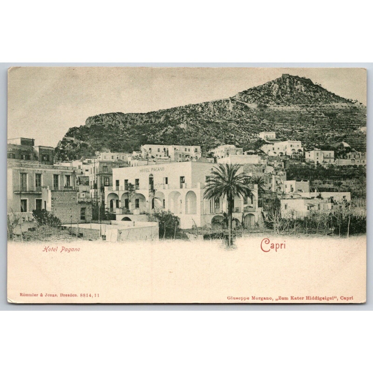 Italian Postcard Capri Hotel Pagano c1901-1907 NO VGC