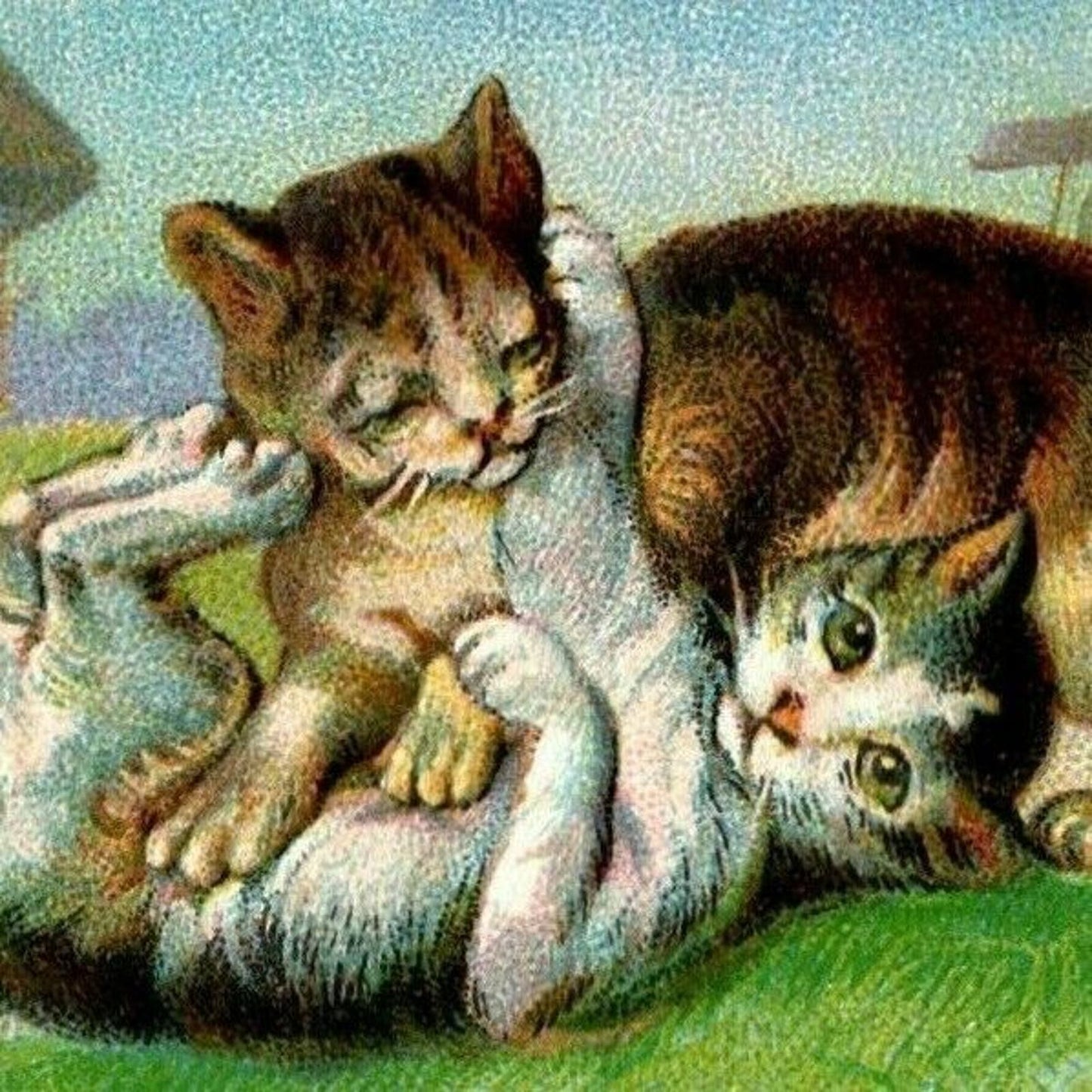 Victorian Small Blank Trade Card Kittens Cats Playing Outdoors - Embossed