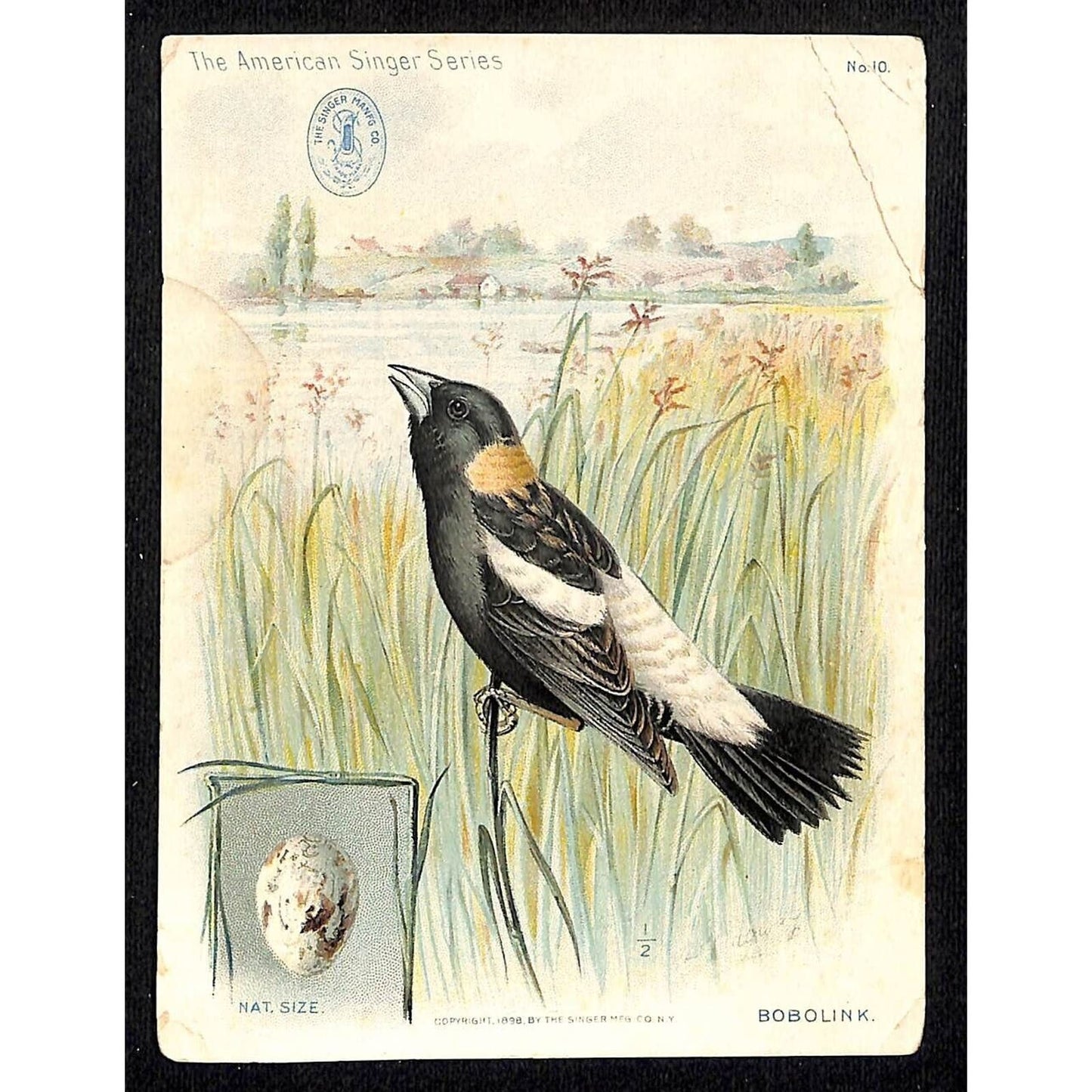 Singer Sewing American Songbird Bobolink w/ Egg Trade Card c1900