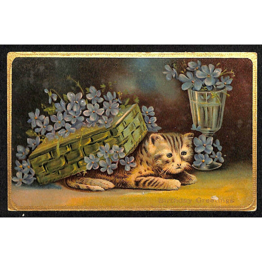 Vintage Postcard Cat Kitten Birthday Greetings Reverse Embossed w/ Gilt c1908-15