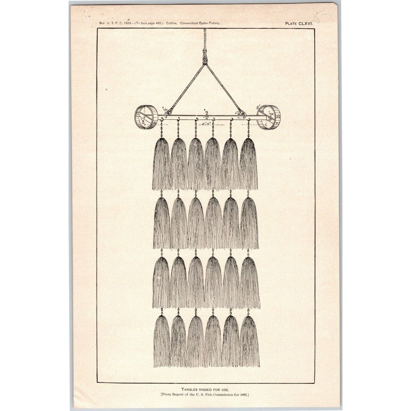 5 1883 U.S. Fish Commission Report Plates 7" x 10.5" Connecticut Oyster Fishery