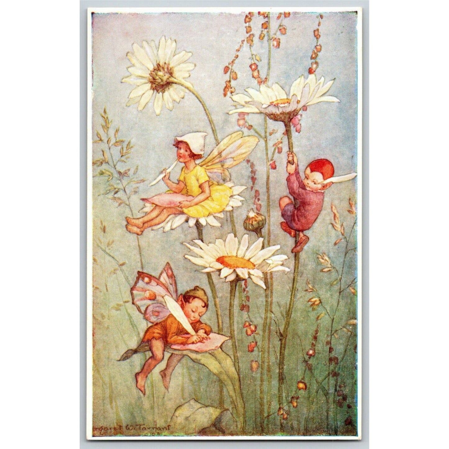Vintage "Pixie Post" Margaret W. Tarrant (Medici) Fairies Daisies Postcard - VGC