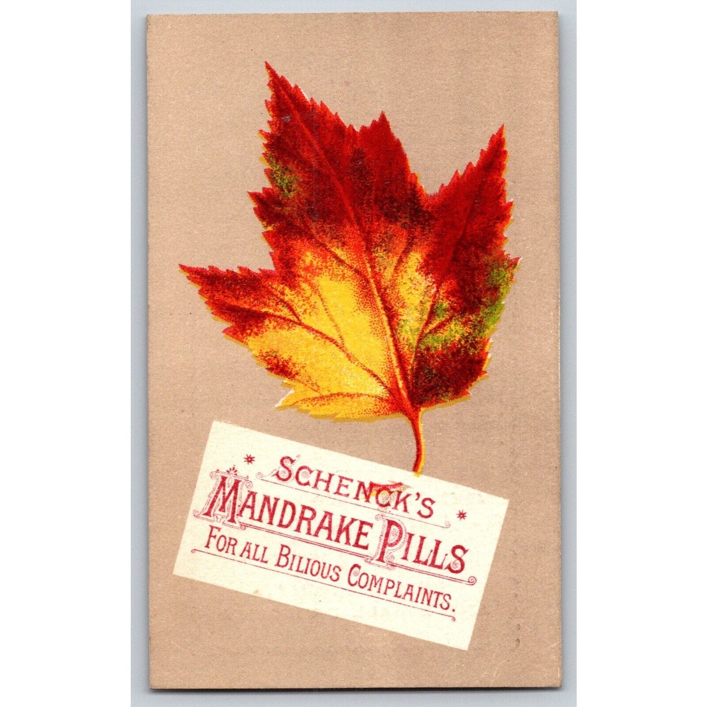 Schenck's Mandrake Pills Phila. Victorian Trade Card "For Bilious Complaints"