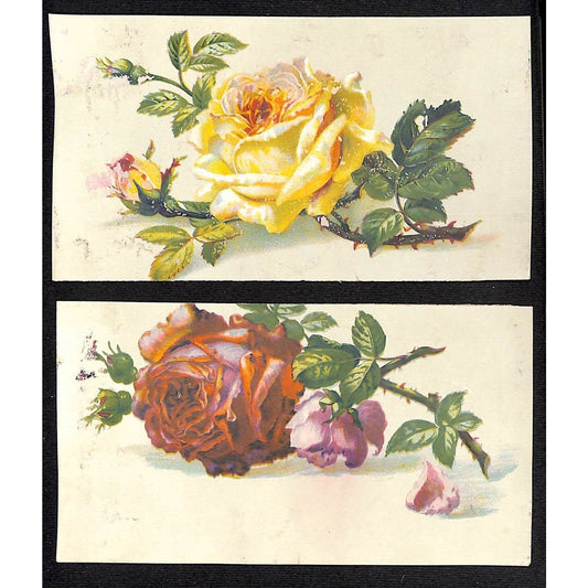 New York Dental Parlors Louisville KY (2) Cut Victorian Trade Cards w/ Flowers
