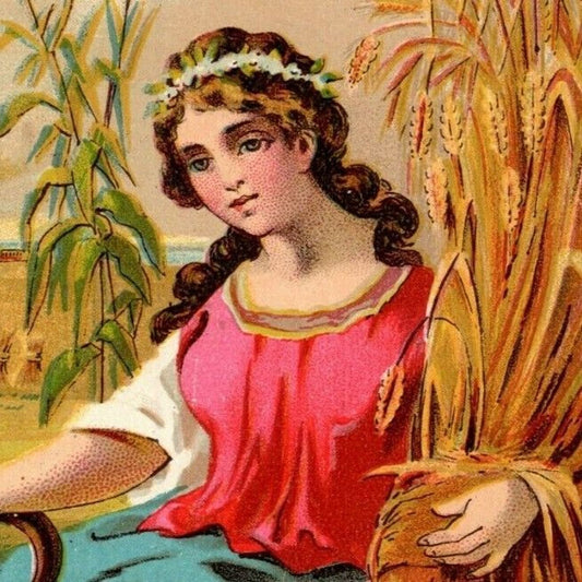 James Beatty Steam Cracker & Cake Bakers Baltimore Large Victorian Trade Card