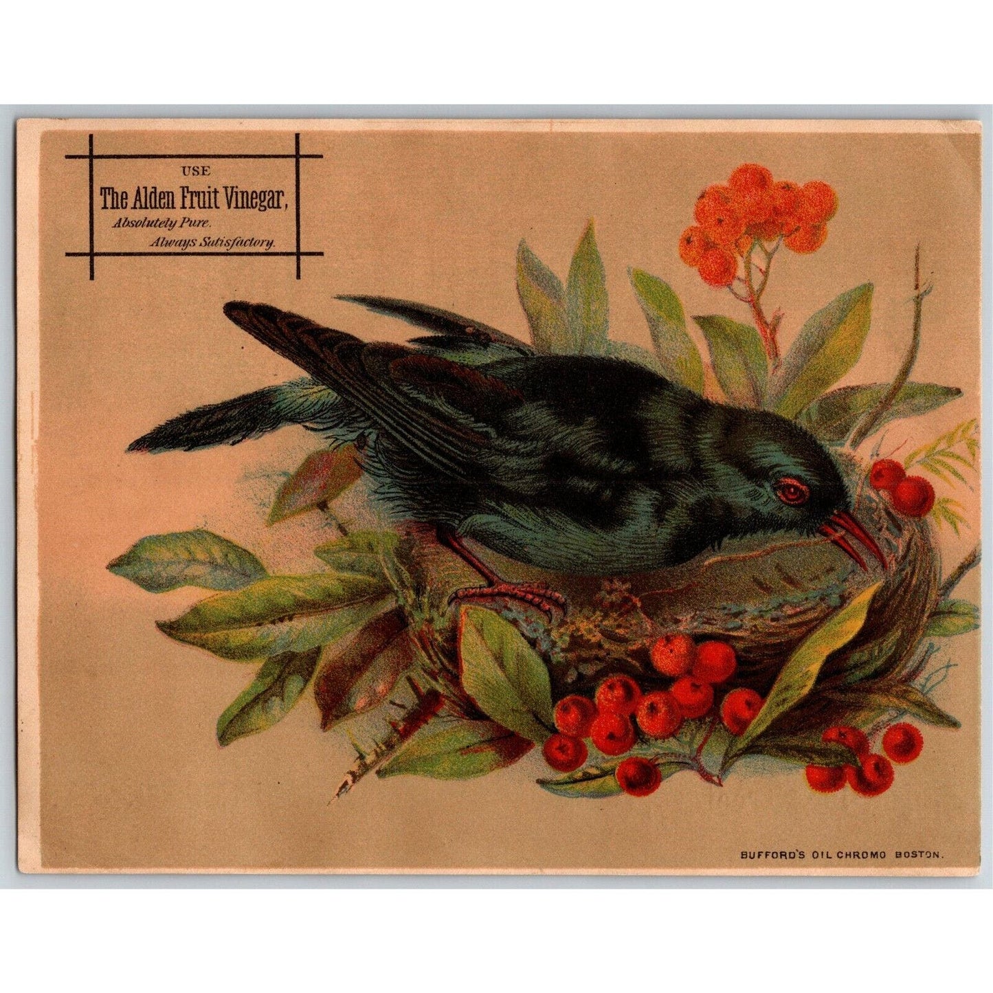 Alden Fruit Vinegar J. H. Wade - Richmond, VA Bird Large Victorian Trade Card