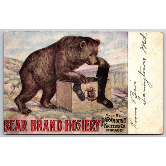 Bear Brand Hosiery Paramount Knitting Chicago Advertising Postcard 1908 Scarce