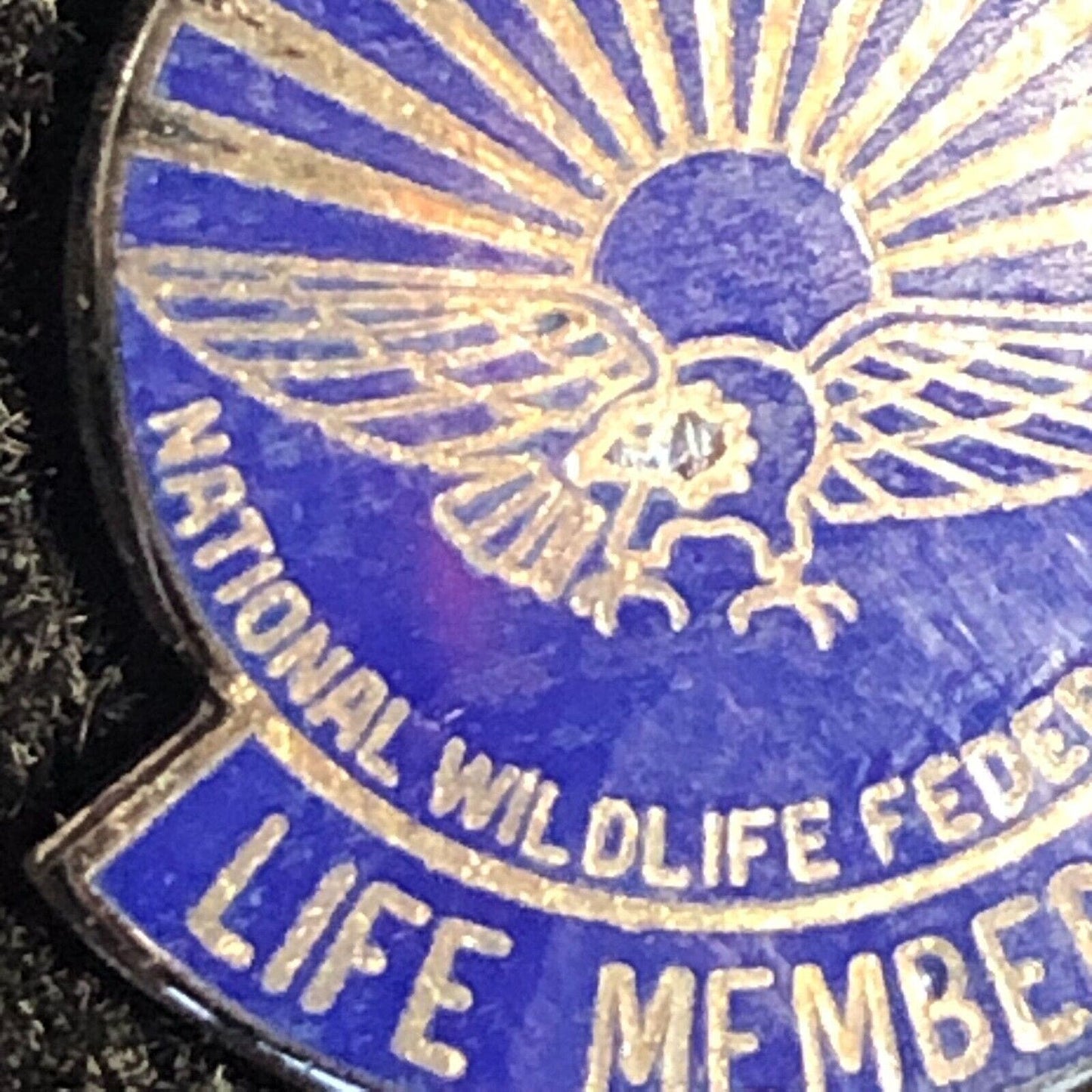 National Wildlife Federation Lifetime Enameled Pinback Lapel Eagle - Sterling