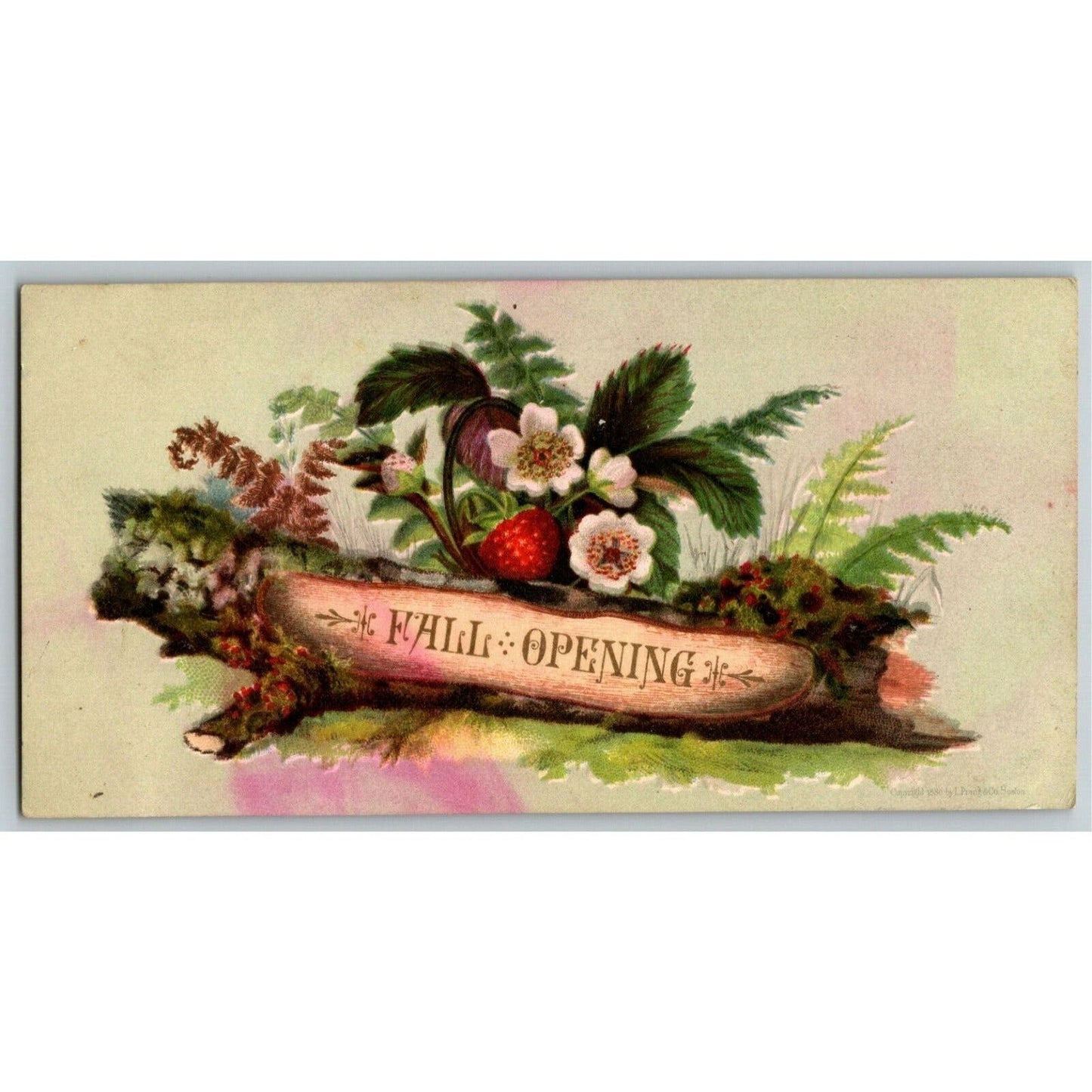 Victorian Trade Card E. C. Alden Hats Bonnets Ostrich Feathers - Providence, RI