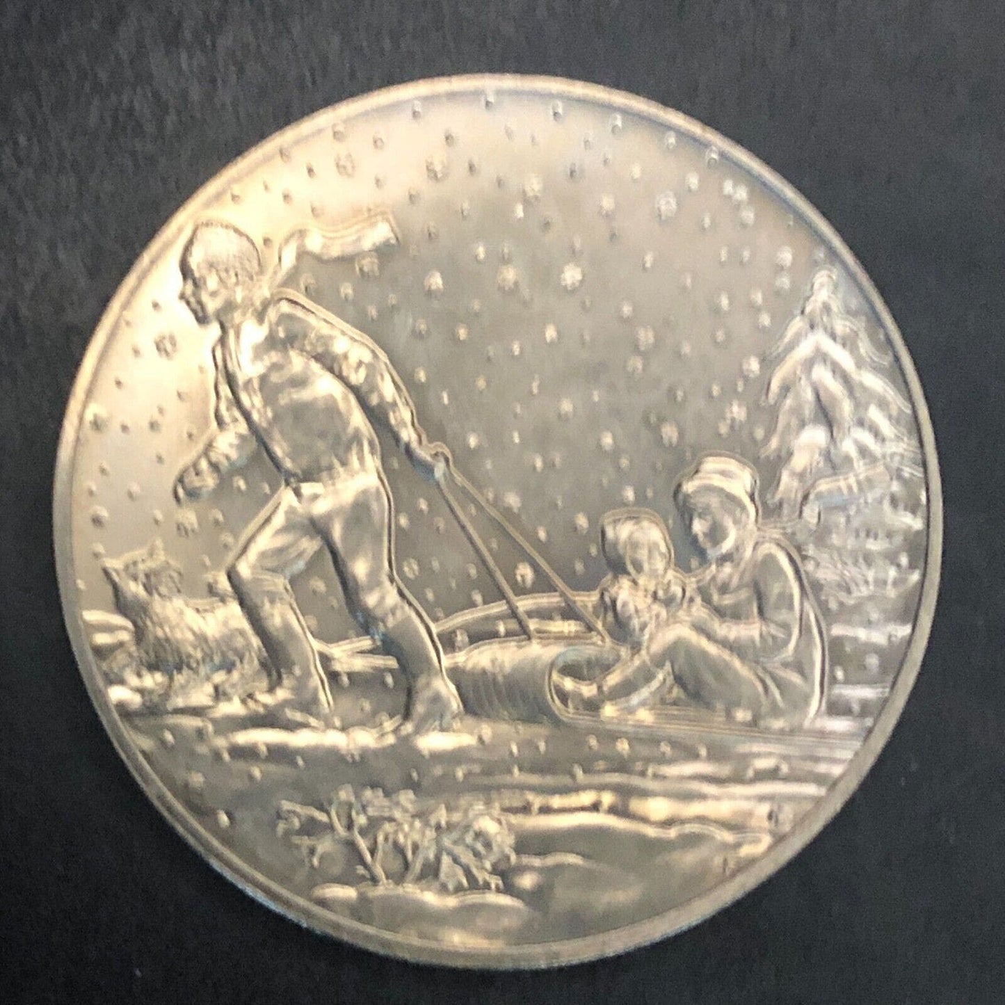 Family Toboggan Sledding Winter Snowing Token Medal 38.6mm 25g Unknown
