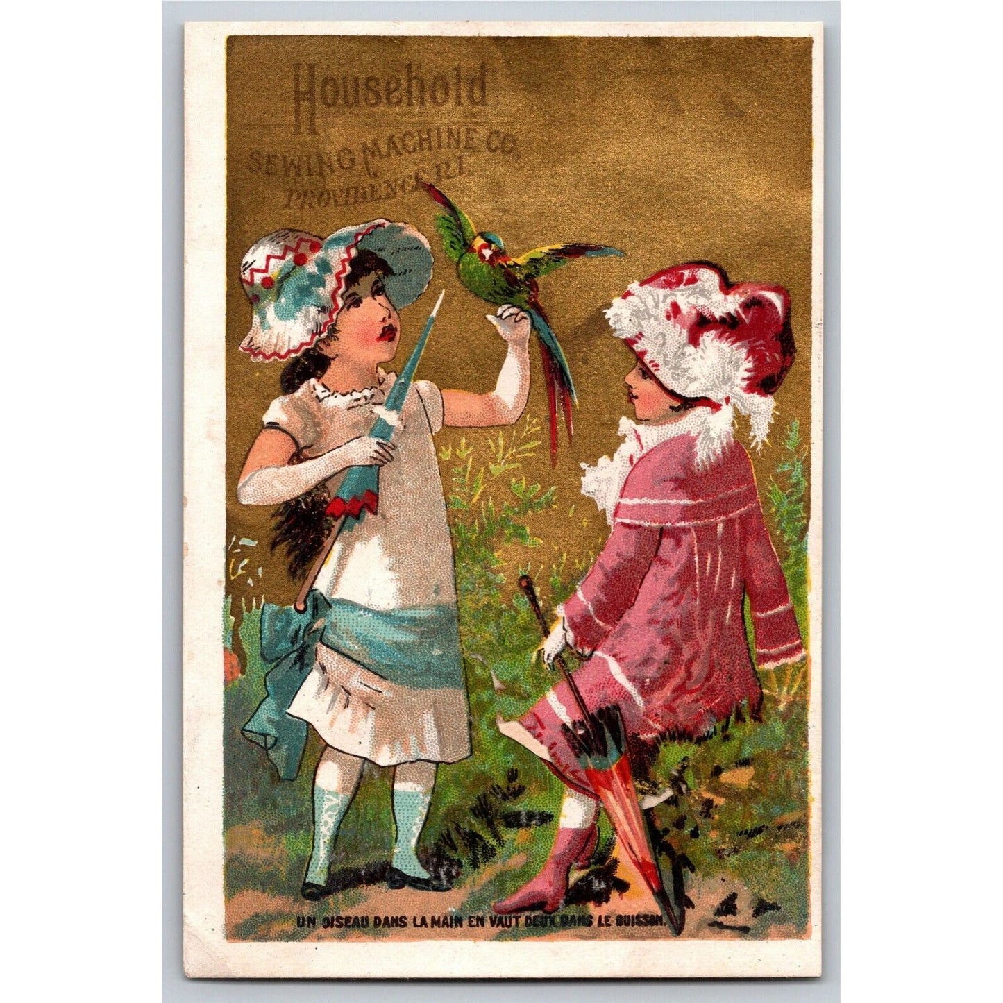 Girls in Fancy Dresses, Parasols and Bird Victorian Trade Card Household Sewing