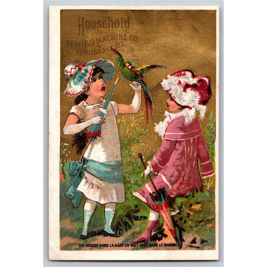 Girls in Fancy Dresses, Parasols and Bird Victorian Trade Card Household Sewing