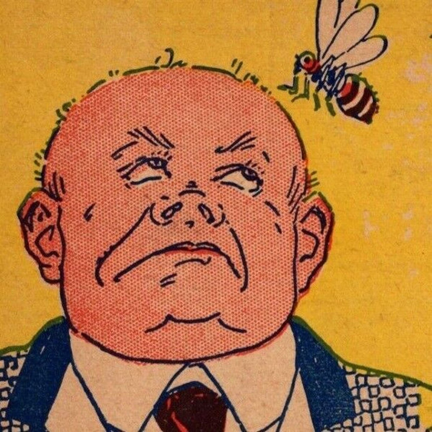 "I Would Like To Be (Bee)" c1905 Undivided NP Comic Humor Postcard