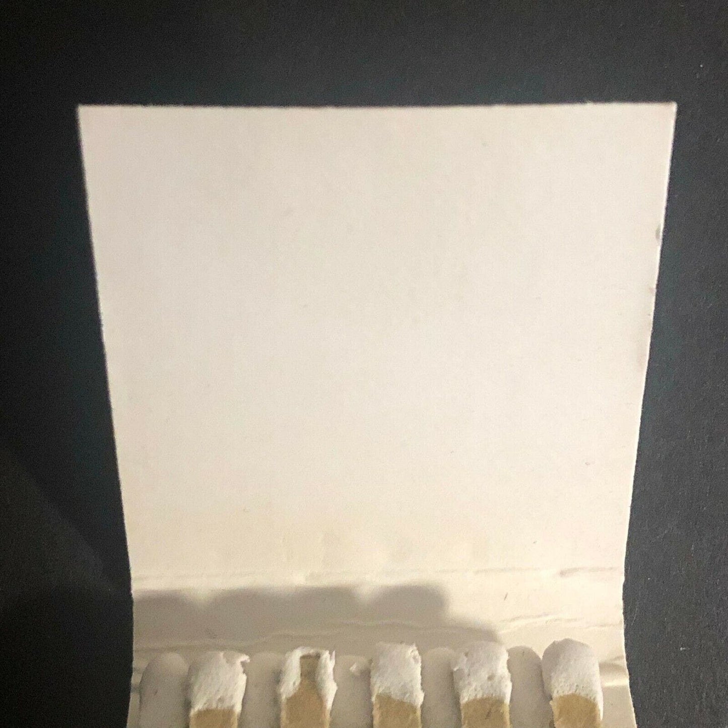 Vintage c1970's-80's Full Matchbook "The Midland Hotel" Chicago