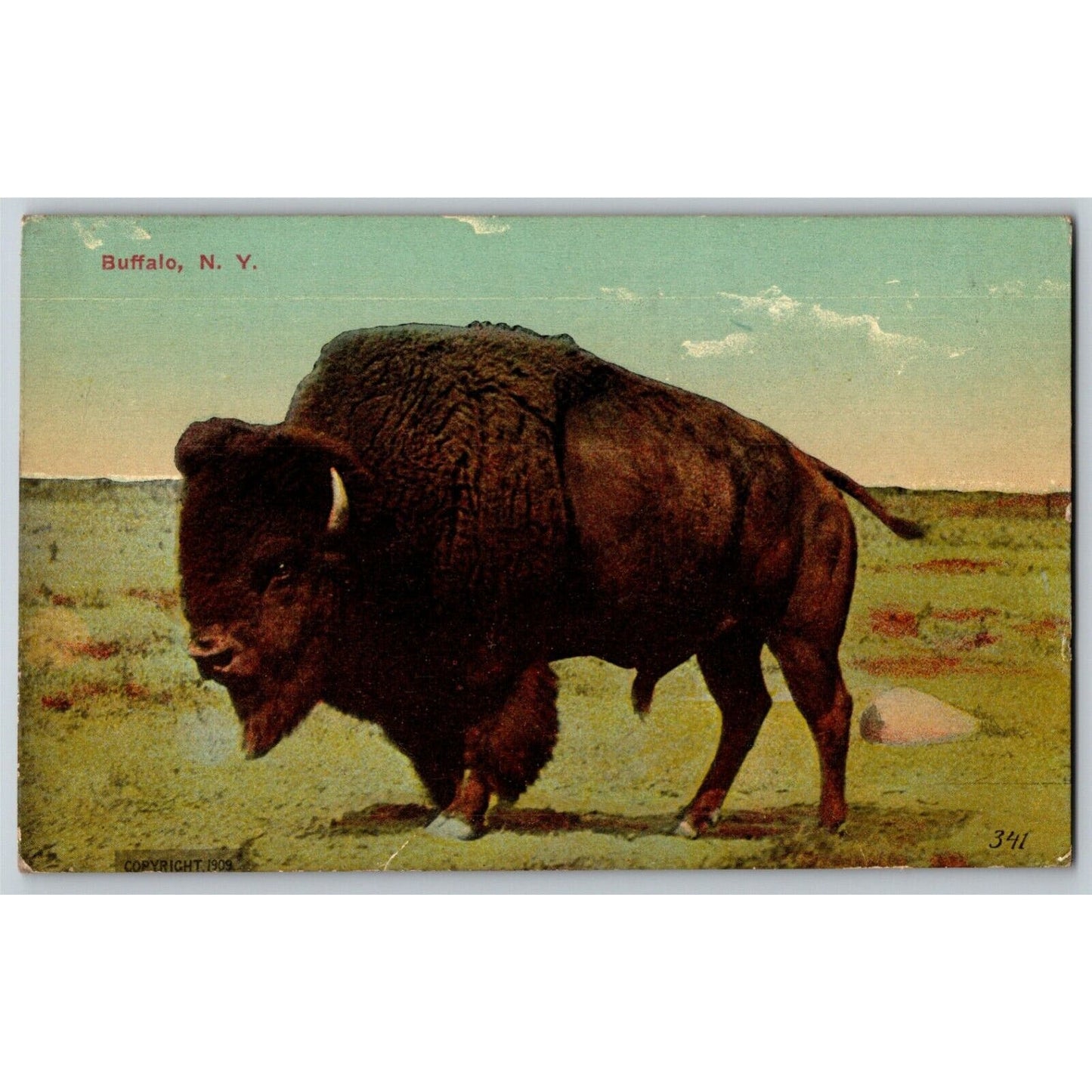 c 1907-1915 Buffalo. Buffalo, NY NP Vintage Postcard