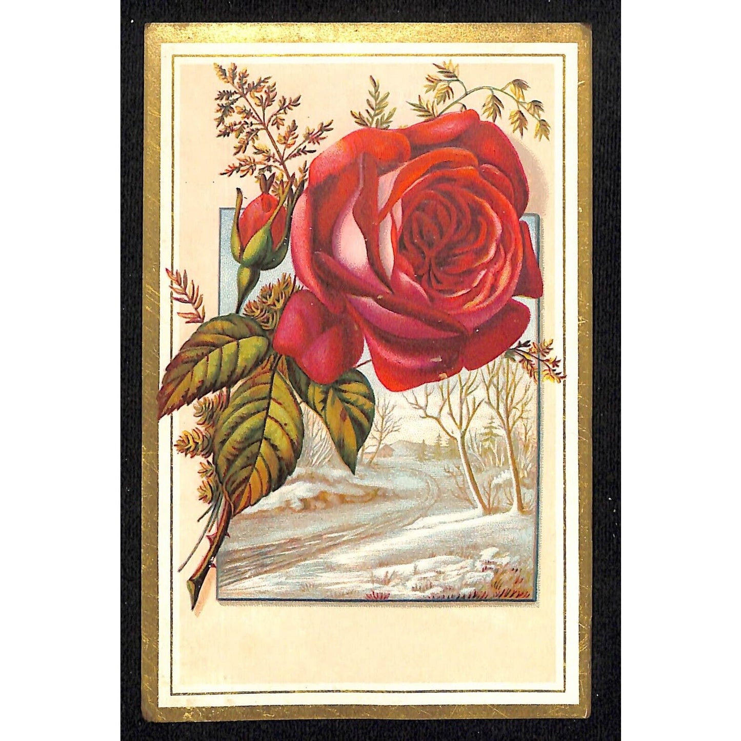 Gillett's Mammoth Pepper Box Bluing Chicago Victorian Trade Card Red Rose