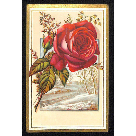 Gillett's Mammoth Pepper Box Bluing Chicago Victorian Trade Card Red Rose