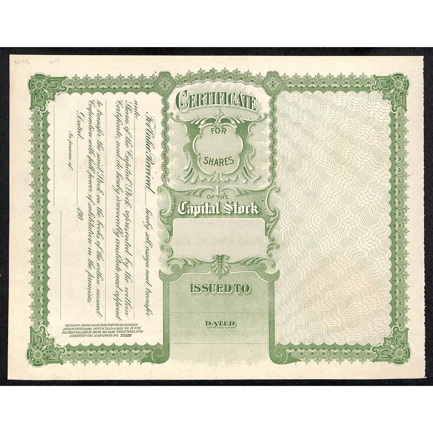 Island Pond Electric Co. Vermont c1900 - 1909 Unissued Stock Certificate -Scarce