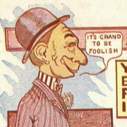 "A Bug From the Loon Factory" c1905 Undivided Unposted Comic Humor Postcard