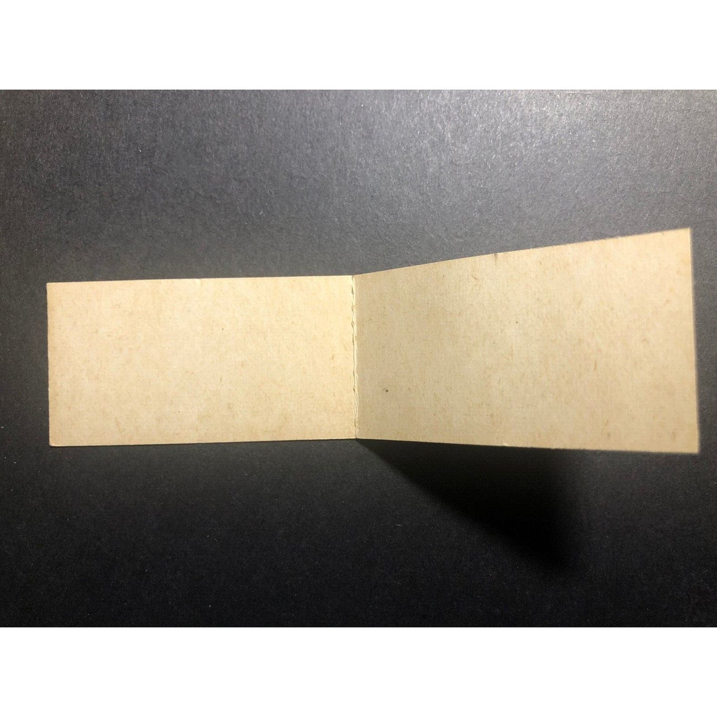 Chicago Aurora and Elgin (1902 - 1957) Forest Park Glen Ellyn Coupon / Ticket