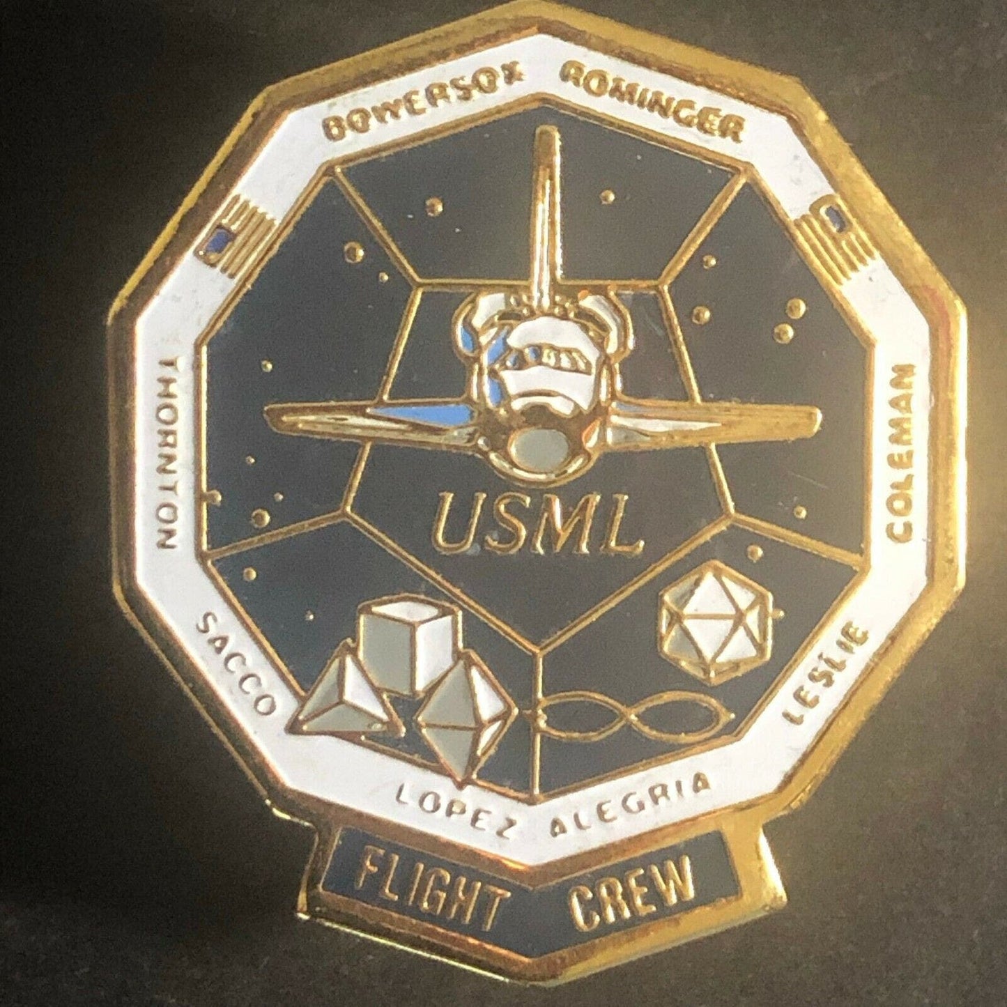Scarce Official NASA Shuttle Flight Crew Mission Lapel Pin - STS 73 Columbia