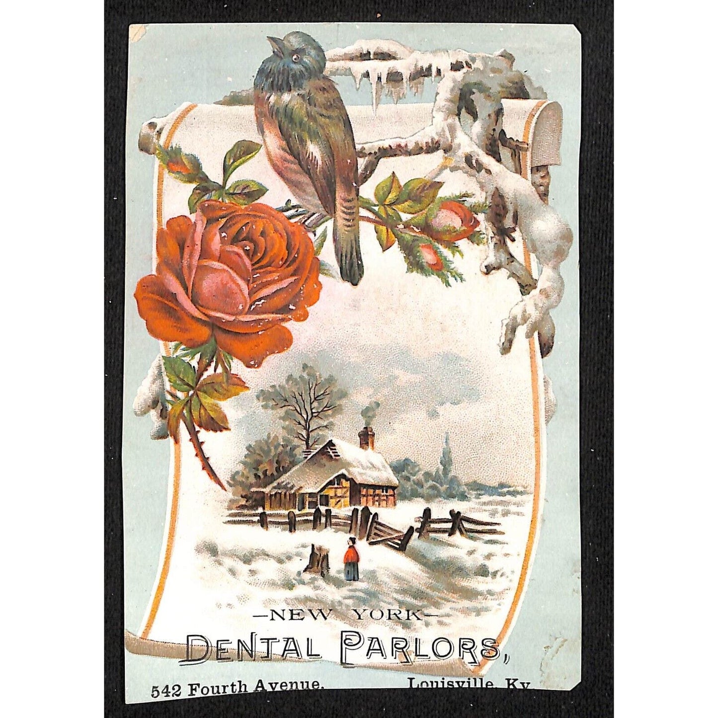 New York Dental Parlors Louisville KY Victorian Trade Card Winter Bird Home