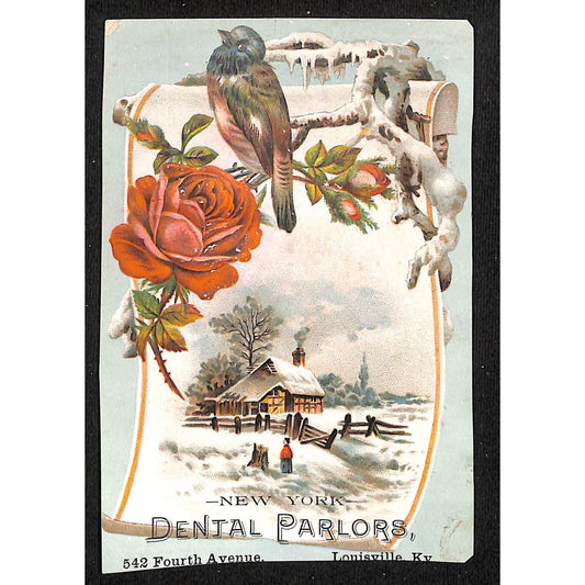 New York Dental Parlors Louisville KY Victorian Trade Card Winter Bird Home