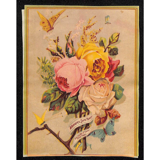 Warner's Safe Yeast / Cure Lg Victorian Trade Card w/ Flowers Butterflies