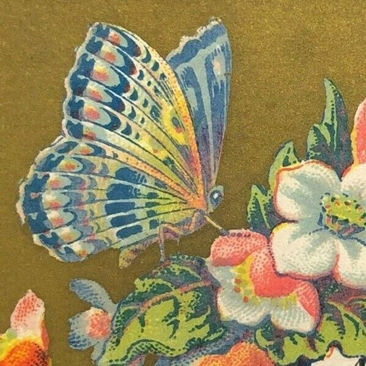 Denne & Co. San Jose Floral w/ Butterfly --- Small Victorian Gilt Trade Card