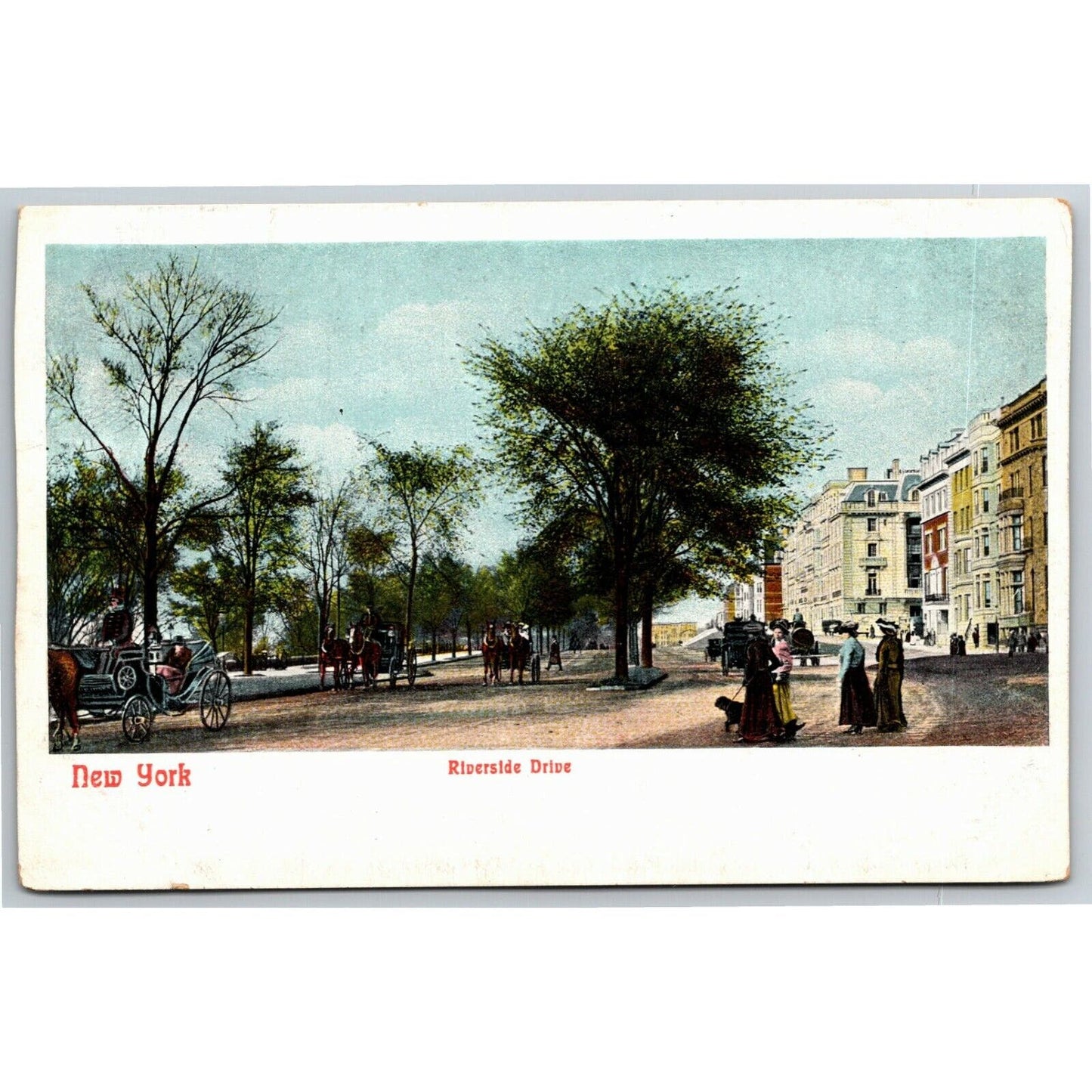 Vintage c1901-07 New York Postcard "Riverside Drive"