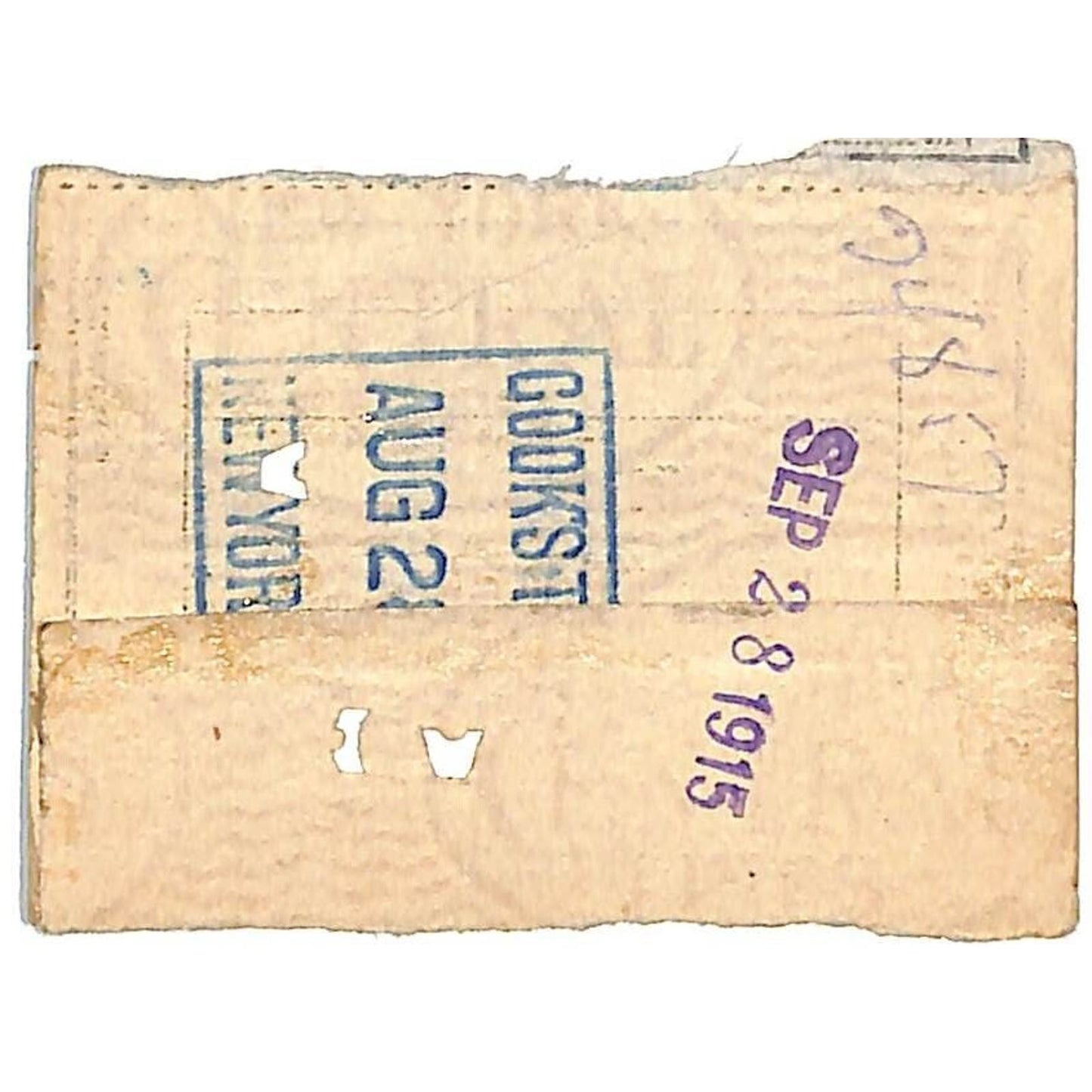 New York Central Railroad Ticket 1915 St. Paul to Chicago "Special Excursion"