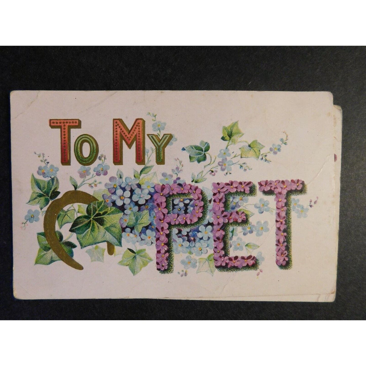 Vintage Postcard - Reverse Embossed "To My Pet" Floral / Gilt