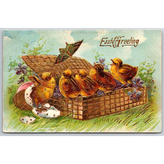 Easter Postcard "Easter Greeting" Baby Chicks Butterfly Lots of Gilt EMB PM 1909