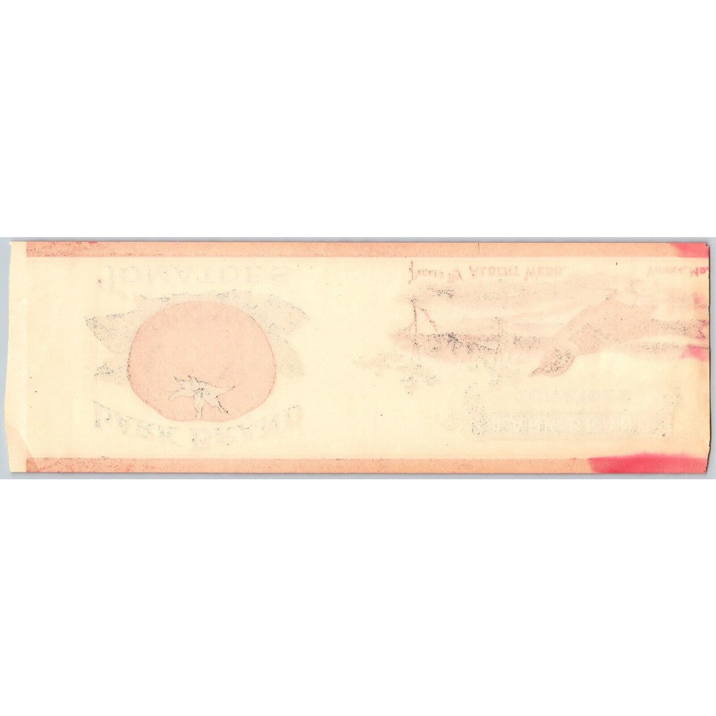 Forest City Tomatoes Paper Can Label Allen Bros. Omaha c1910's-20's VGC Scarce