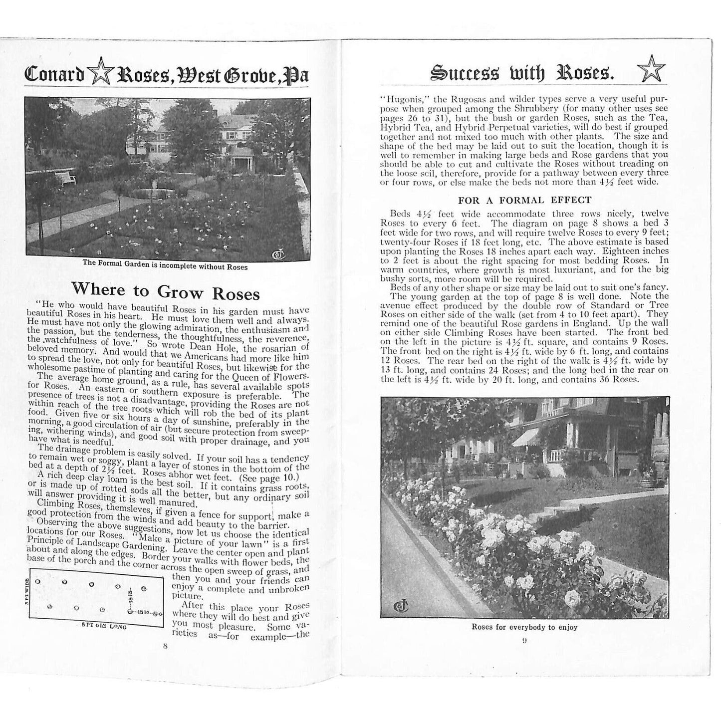 "Success With Roses" Conrad & Jones Roses West Groove, PA 1920 34pp VGC