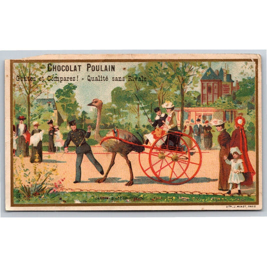 French Victorian Trade Card Chocolat Poulin - Two Seat Ostrich Pulled Carriage