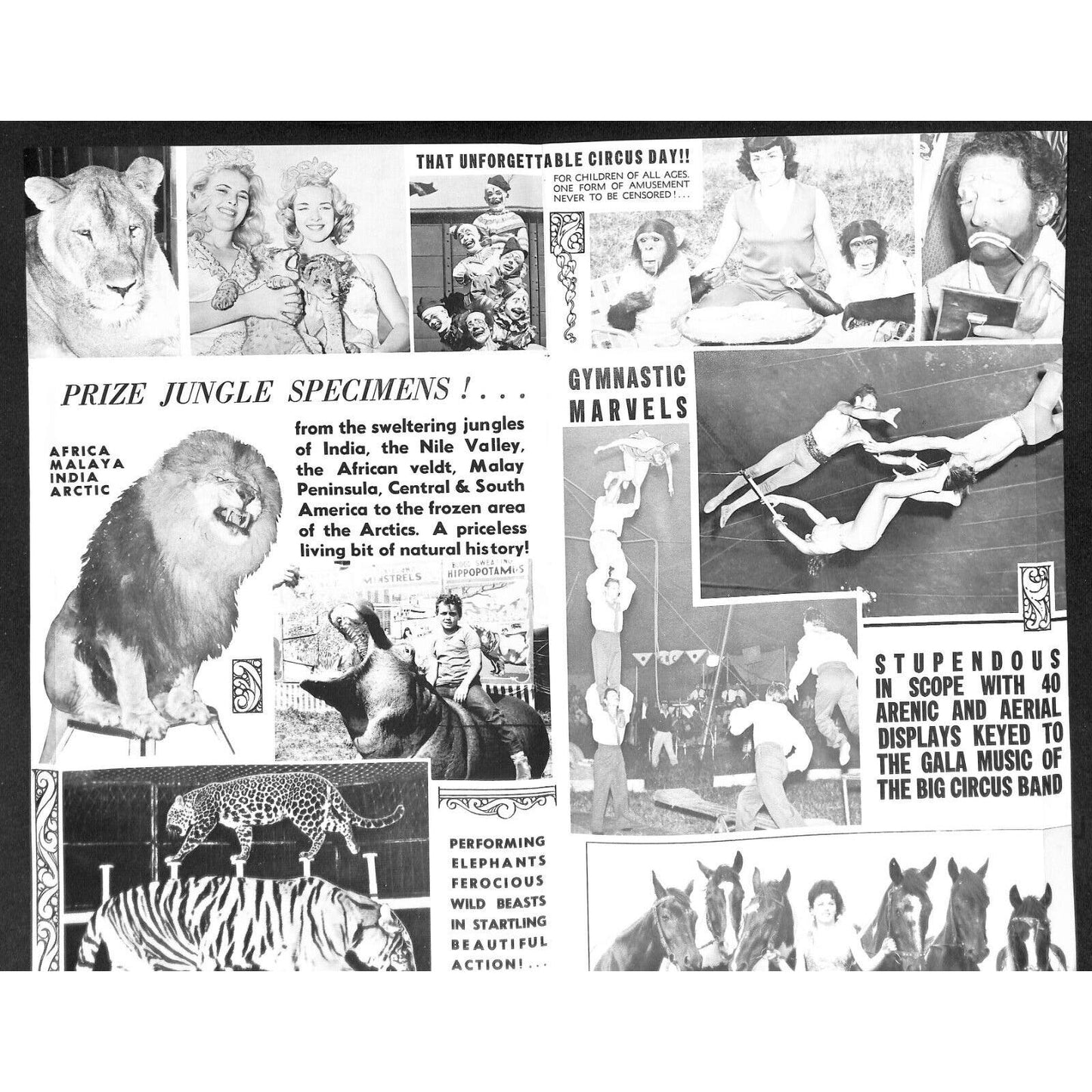 Cristiani Wallace Bros. Circus Fold Out Single Sheet Brochure c1963-65 Scarce