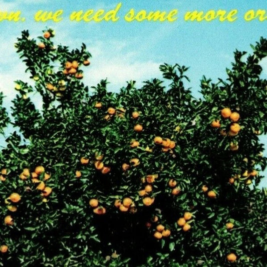 c1971 Vintage Fruit Postcard "Come on Down - We Need More Orange Pickers!" VGC