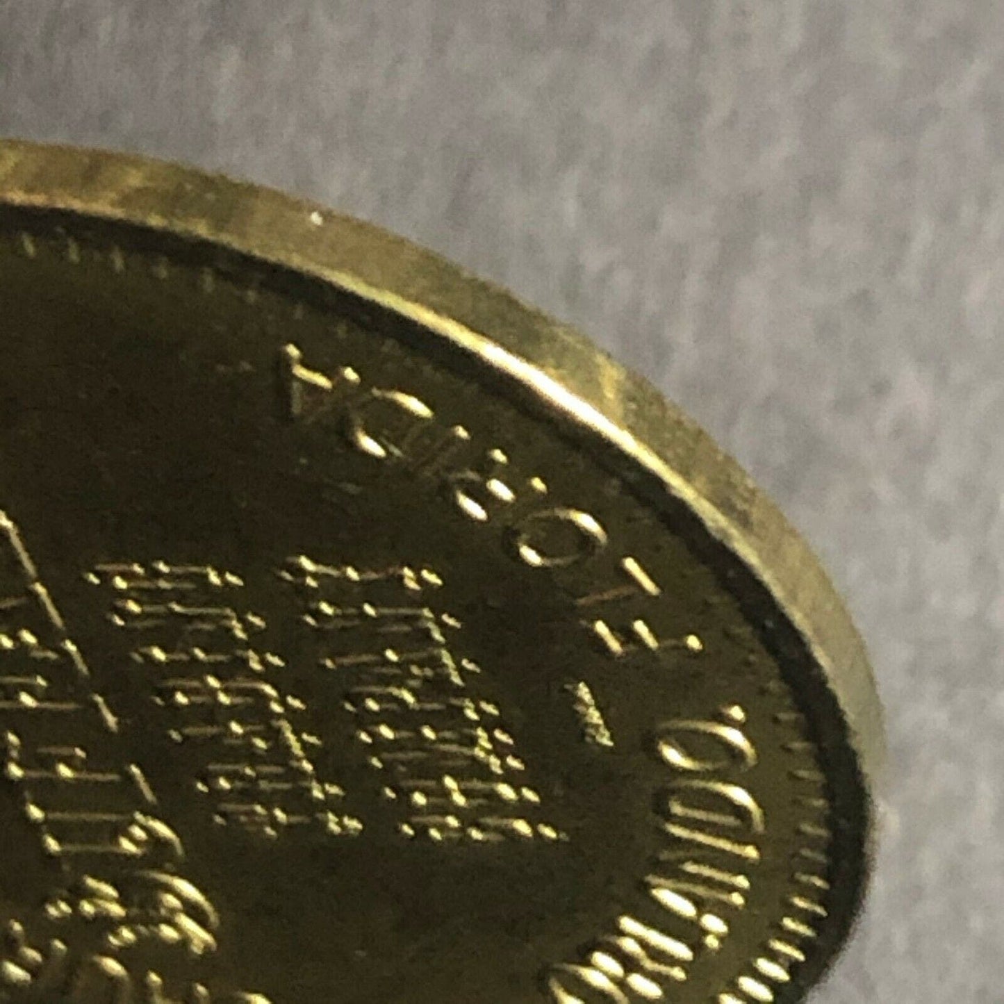 Early 1990's 28.5mm Brass Buffalo Trading Company Orlando, FA Advertising Token
