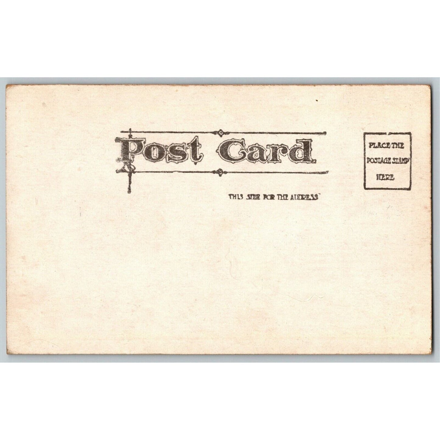 "Millions For De-Fence" c1906 Undivided Comic Farm Humor Postcard