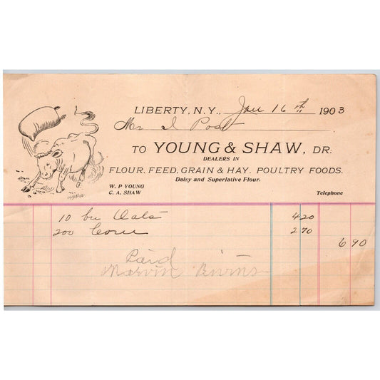 Liberty, NY C.A. Shaw Flour Feed Jan 16 1903 Billhead w/ Angry Cow Illustration