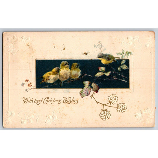 "With Best Christmas Wishes" Postcard Birds on Tree Branch Emb. PM 1909
