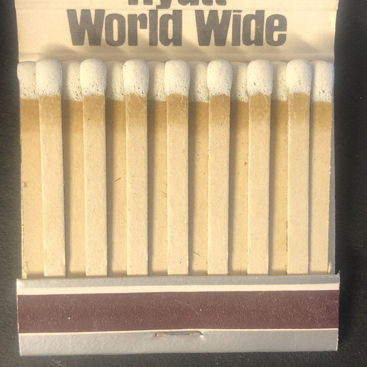 Wild Onion Hyatt Regency Chicago Vintage Full Matchbook c1967-73